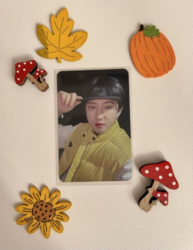 Stray kids changbin - stray,